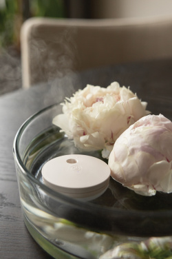 Logo trade promotional gifts picture of: Breevia RCS rplasic re-chargeable floating humidifier